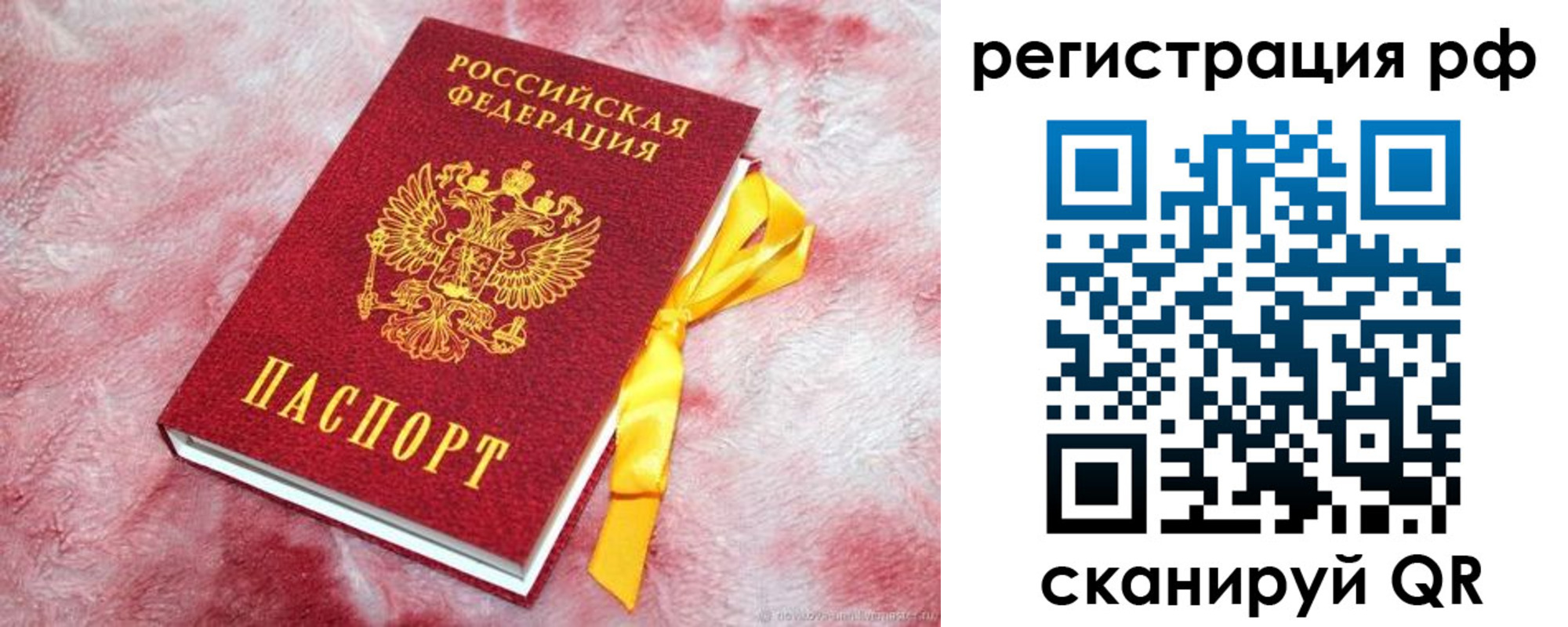 прописка в Новом Осколе